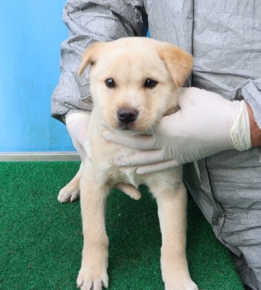 제주 동물보호센터_450650202500534